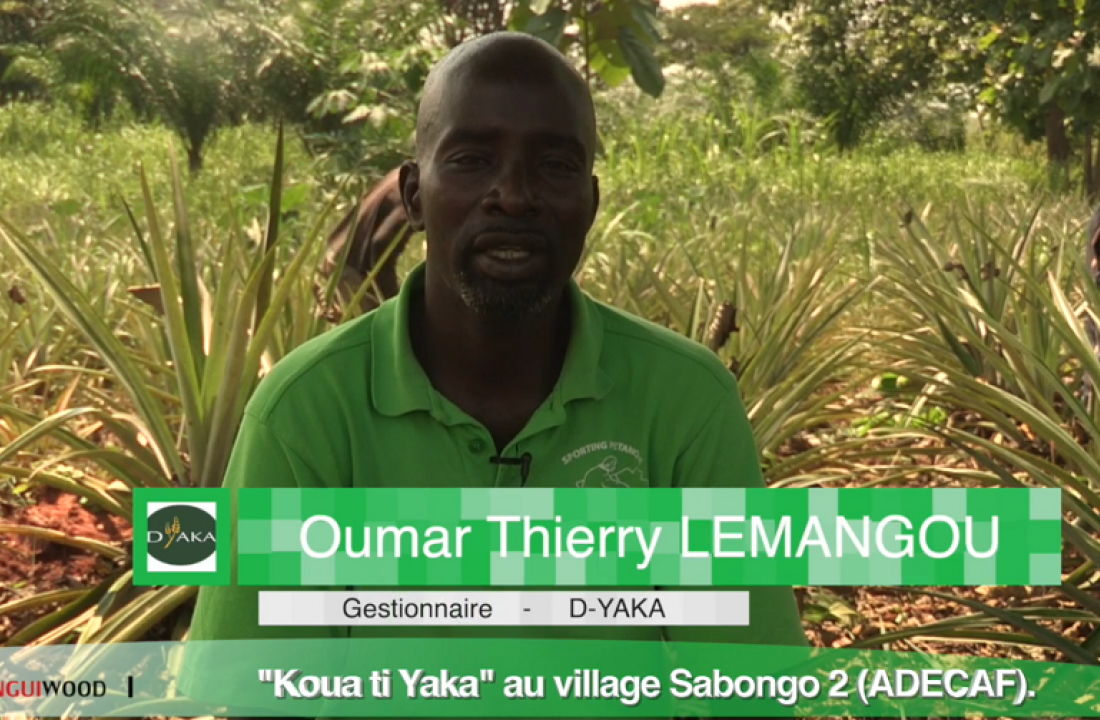 Entreprenariat agricole au village Sabongo 2