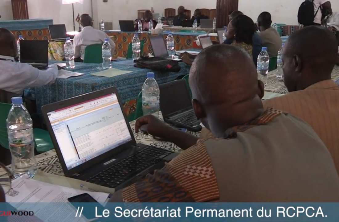 Les enjeux du RCPCA-CEM en Centrafrique